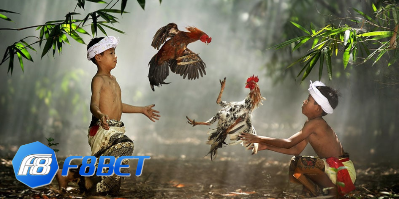 Đá Gà F8bet