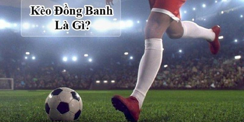 Kinh nghiệm cược kèo đồng banh Kinh nghiệm cược kèo đồng banh